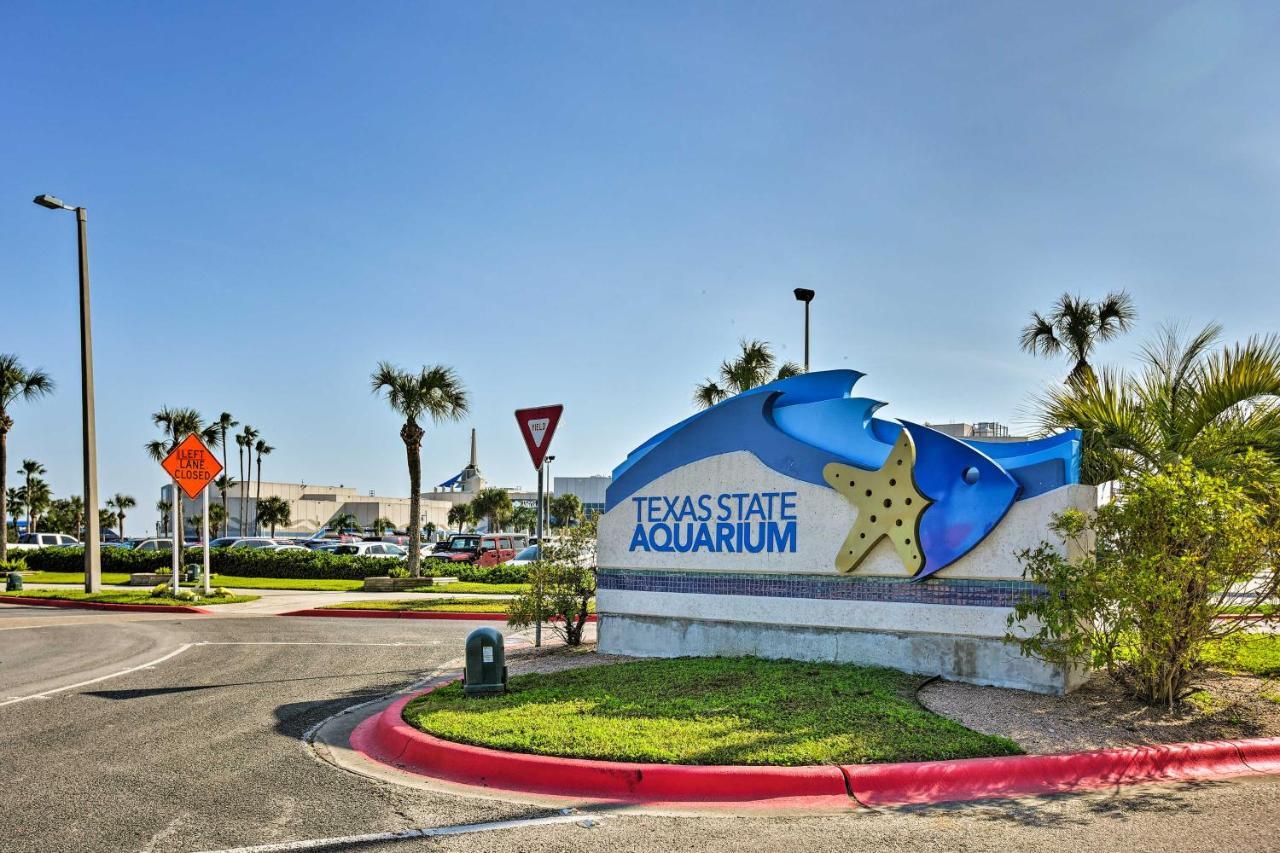 Waterfront Corpus Christi Escape With Pool Access! Apartment Exterior foto